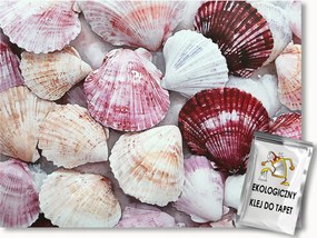 Fotótapéta Flizelina Dekoråció Természet Tengerpart Kagylók 100x75 ragasztó