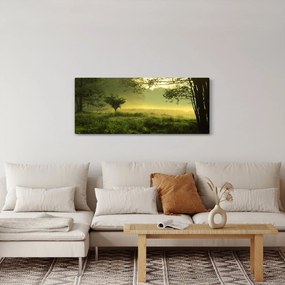 Kép - Ébredő erdő (120x50 cm)