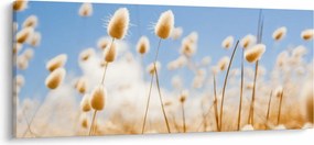 Kép - Arany mező (120x50 cm)