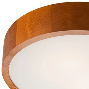 Mennyezeti lámpa 2xE27/60W/230V