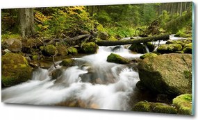 Fotó üvegkép Plitvicei-tavak 100x70