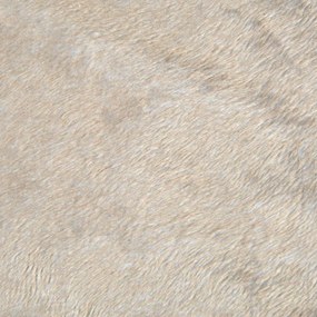 Bézs velúr fekhely kutyáknak 61x38 cm Flakes – Love Story