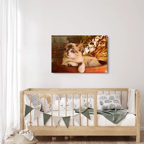 Macska a virágcserépben képe (90x60 cm)
