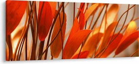 A szirmok képe (120x50 cm)