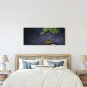 Kép - Bonsai (120x50 cm)