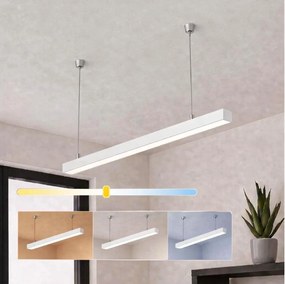 Brilagi - LED függeszték FULLDAY LED/30/40/50W/230V 2700/4000/6000K 150cm fehér