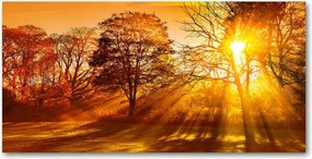 Fotó kép edzett üveg Naplemente 140x70