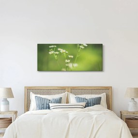 Egy százszorszép képe (120x50 cm)