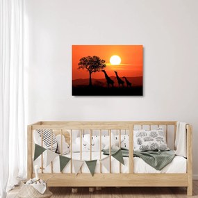 Zsiráfok képe naplementekor (üvegen) (70x50 cm)