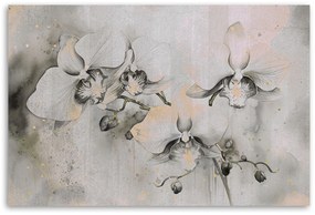 Gario Vászonkép Absztrakt virágzó orchideák Méret: 100 x 70 cm