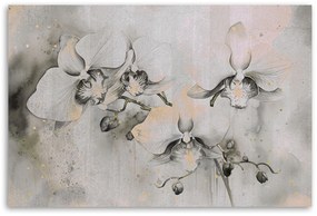 Gario Vászonkép Absztrakt virágzó orchideák Méret: 60 x 40 cm