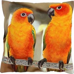 Párnahuzat 40x40 cipzáras velúrral Aratinga Parrots