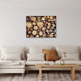 Kép - Fa a hóban (70x50 cm)
