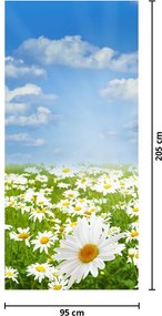 Fotótapéta ajtóra - Virágzó rét százszorszépekkel (95x205cm)