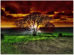 Poszterek 135x100 Varázslatos fa tájkép