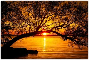 Poszterek 120x80 Tengerpart Fa Tenger