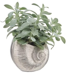 REEF váza/kaspó, ezüst kagyló 14 cm