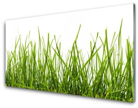 Akrilüveg fotó Grass Nature Plant 120x60 cm