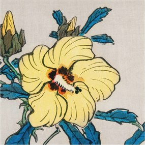 Flizelin tapéta falra Prémium sárga virág 250x250 ragasztó