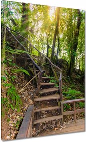 Vászonkép 70x100 Gyalogtúra