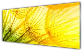 Üvegkép Pitypang Virágok Természet 125x50 cm