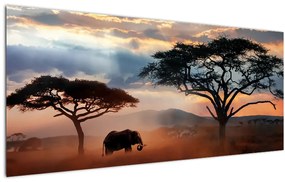 Kép - Serengeti Nemzeti Park, Tanzánia, Afrika (120x50 cm)
