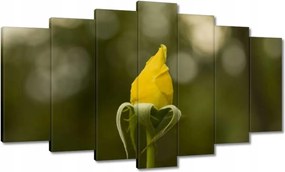 Vászonkép 140x80 Sárga rózsa