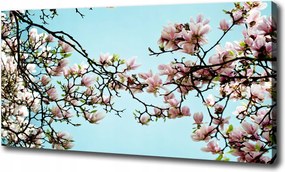 Vászonkép Magnólia virágok 100x70 cm