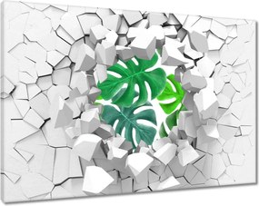 Vászonkép 120x80 Levelek Monstery Trópusok