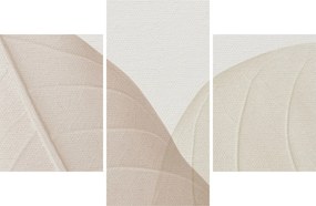 Kép - Texturált levelek (90x60 cm)