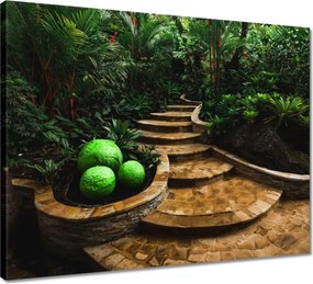 Vászonkép 50x40 Golyók a trópusokon