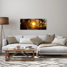 Kép - Átlátszó buborék (120x50 cm)