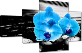 Vászonkép 130x80 Türkiz orchidea Virág