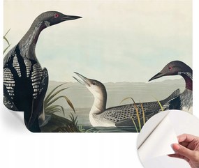 Öntapadós tapéta Divatos 3D fali ragasztó Madarak a vízparton 208x146 cm