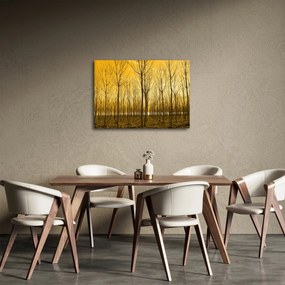 Kép - Faültetvény (70x50 cm)
