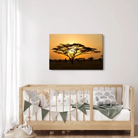 Kép - afrikai szavanna (90x60 cm)