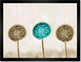 Poszterek keretben 40x30 Wenge és kék