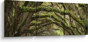 Kép - Oaks Avenue, Charleston, Dél-Karolina, Egyesült Államok (órával) (90x30 cm)