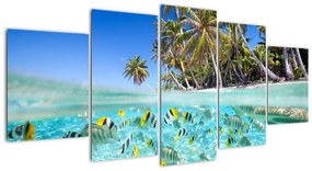 Kép - trópusi, tenger (150x70cm)