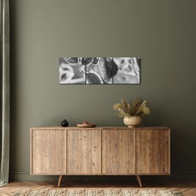 Kép - Őszi természet (órával) (90x30 cm)