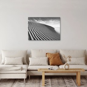 Kép - Homokdűne (70x50 cm)