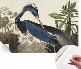 Öntapadós Stílusos Dekoratív Fotótapéta Egzotikus természet 104x70 cm