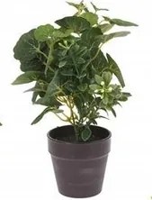 Művirág Fekete Cserépben 20CM Dekoráció Nasturcia