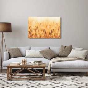 Kép - mező gabonával (90x60 cm)
