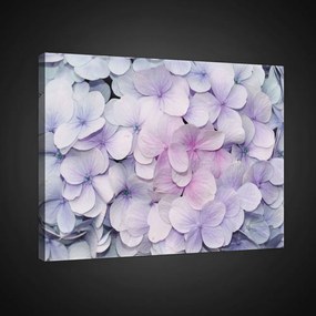 Vászonkép, Kis lila virágok, 100x75 cm méretben