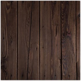 Poszterek 70x70 Fa világ Fa