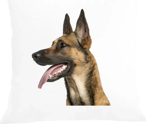 Párna párnahuzat nyomott mintás belga juhászkutya