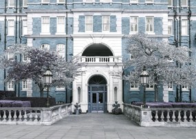 Poszter 59,4x42cm Albert bíróság épülete, Assaf Frank