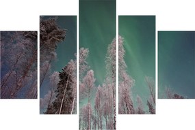 Az aurora borealis képe fagyos fák felett (150x105 cm)