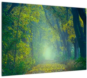 Fákkal szegélyezett út képe (üvegen) (70x50 cm)